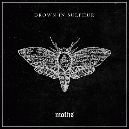 Drown In Sulphur : Moths